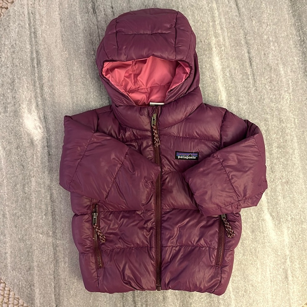 Patagonia Hi-Loft Down Jacket (12-18 mons)